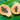 Fresh Papaya 10lb Pack