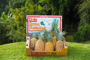 Fresh Pineapple 30lb Pack