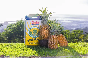 Fresh Pineapple 10lb Pack