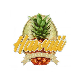 Hawaii Pineapple Magnet