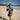 Women's Aloha Wear
