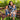 Hibiscus Panel Little Girls Sundress