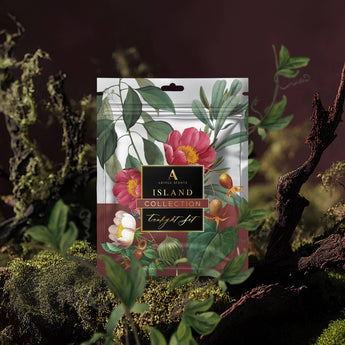 Island Collection Tealight Set