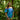 Manoa Peasant Blouse