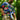 Hibiscus Plumeria Aloha Shirt