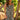 Kiko Leaf Long Dress