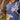 Tribal Shark Tee