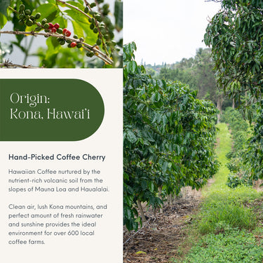 100% Kona Coffee Gift Set