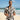 Bold Serenity Aloha Shirt