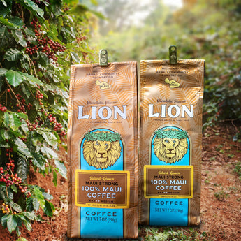 Lion 100% Maui Coffee