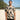 Hibiscus Palm Aloha Shirt
