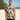 Hibiscus Palm Aloha Shirt