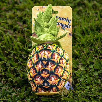 Squeaky Pineapple Dog Toy