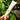 Kukui Oil Lip Treatment