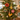 Red Hibiscus Aloha Ornament